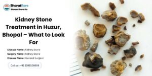 Kidney Stone Treatment in Huzur, Bhopal – What to Look For